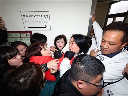 選罷法調整罷免門檻 劉世芳：強制修法增加朝野不信任