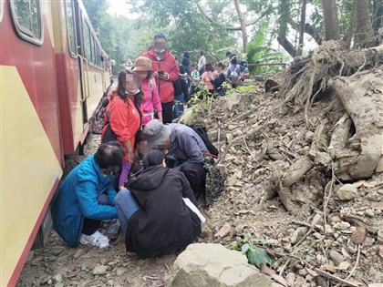 旅行社帶團走阿里山鐵軌釀傷 觀光署擬開罰5萬元