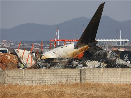 濟州航空客機疑因鳥擊失事179死 專家持懷疑態度