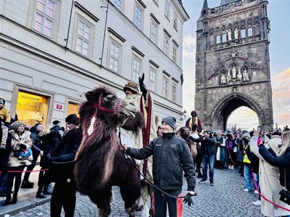 捷克三王節駱駝上街吸睛  重現朝拜伯利恆旅程