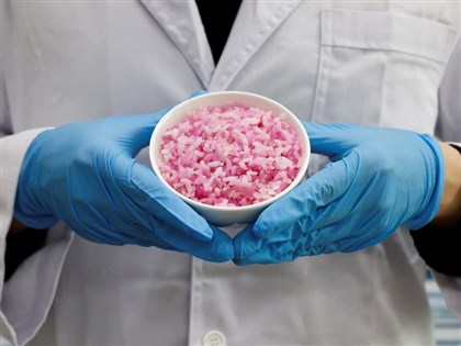 韓國研發創新食品「牛肉米」 含肌肉細胞營養又減碳