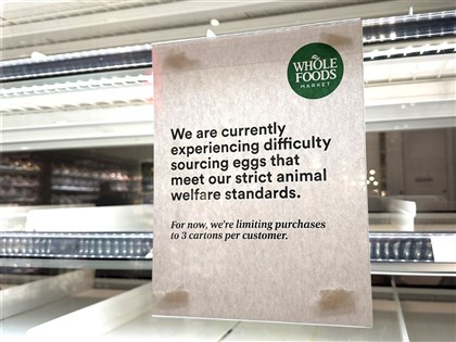 【特派談新事】美國加州蛋荒再現 雞蛋價格猛漲成奢侈品