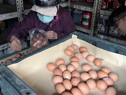 雞蛋仍供過於求 業界25日赴畜產會研議產銷對策