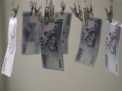 藍主張普發現金1萬元  綠委：想用大撒幣救大罷免