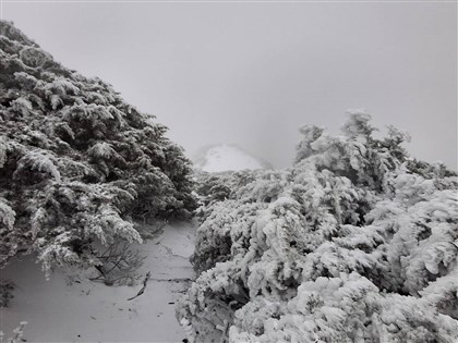 冷氣團發威 合歡山、玉山、仁愛鄉華崗化身雪國