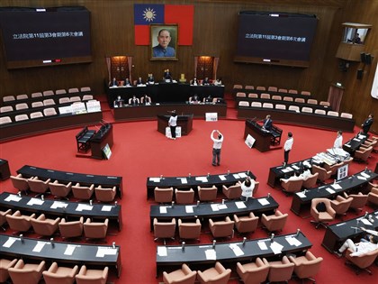 反廢死反戒嚴公投案逕付二讀 綠指會議無效 藍反批不甩議事規則