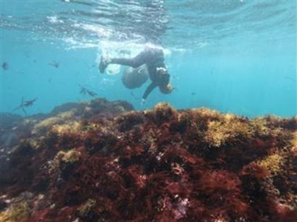 新北東北角海女高齡化  民團憂文化傳承恐中斷