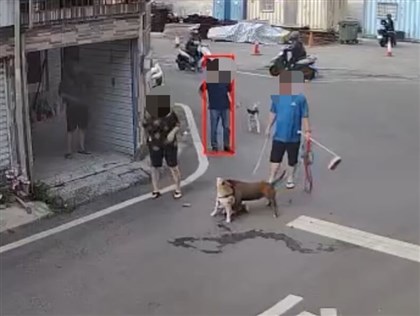 屏東咬死柴犬比特犬已火化？農業處追查