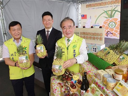 台灣水果供應日本3.3萬名學童營養午餐 近3公噸鳳梨啟航