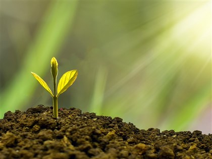 英碳市場展潛力 可望創13.5萬職缺400億稅收