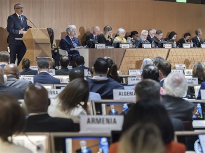 世衛大會開議  日德法等國接力發言挺台