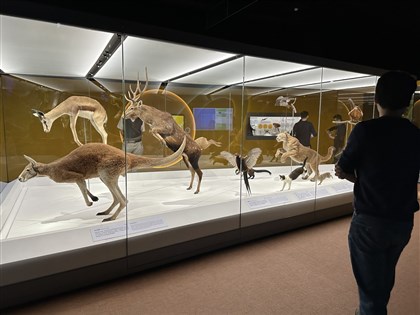 科博館39年來首度調漲票價 7月起展示場全票變120元