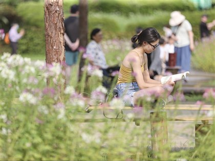 南部山區比沿海更熱 學者籲都市規劃增加風道