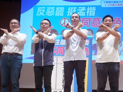 24藍委罷免案7/26投票 藍籲民眾投不同意票守護民主