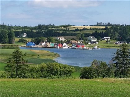 加拿大媒體控購地爭議中國操控 福智僧團盼公信力調查