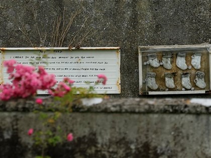 愛爾蘭亂葬崗含800嬰遺骸 國際團隊將聯手勘驗