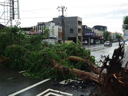 颱風丹娜絲重創 7/16台南城鎮韌性演習取消