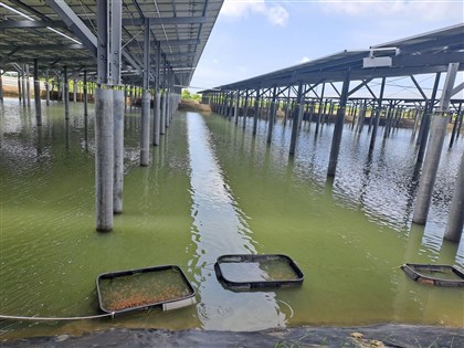 光電板漏毒影響養殖魚？查核中心：污染風險低