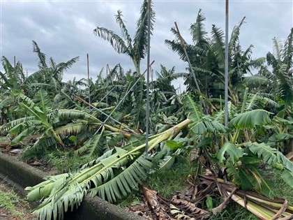 颱風豪雨農損逾23億 天災現金救助台中以南7縣市