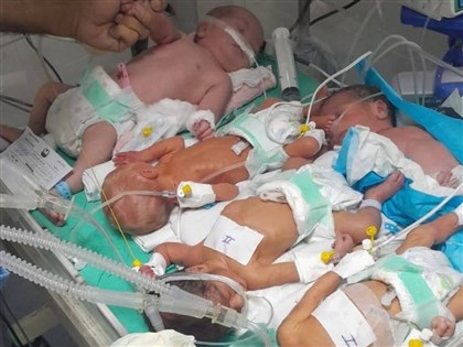 加薩醫院能源告急 早產嬰共用保溫箱命懸一線