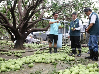 颱風豪雨農損逾25億元　台南近10億元最嚴重