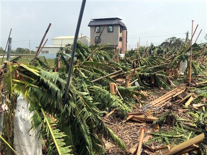 颱風及豪雨農損逾25億元　台南最重、香蕉最傷