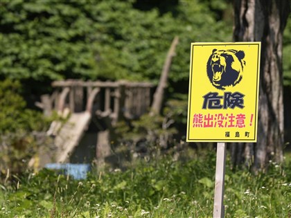 日本「熊出沒」頻傳 福島2男遇襲、北海道發布棕熊警報