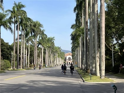 英國QS最佳留學城市排名　台北全球第14歷年最佳