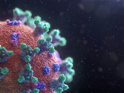 全球屈公病升溫  巴西等國旅遊疫情建議升至第2級