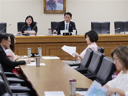 藍白挺組修憲委員會綠反對 朝野協商無共識