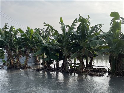 0728豪雨全台農損2.6億元  屏東逾9000萬最多