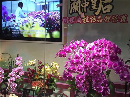 20%暫行關稅將上路  政院：工具機蝴蝶蘭等受衝擊