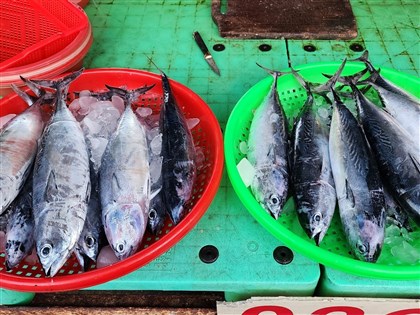 美徵20%關稅  180億元農漁業支持方案受理申請