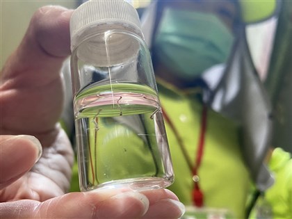 登革熱疫情升太平洋多國緊急狀態　看懂全球暖化為何引爆危機