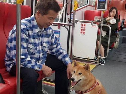 新北假日友善寵物公車增藍15線　毛孩免裝籠搭車