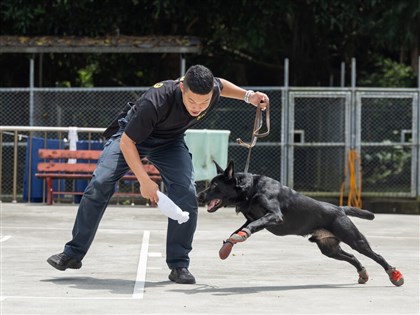 K9軍犬分隊入鏡匠人魂　一探護國神犬成長記[影]