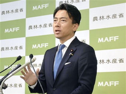 自民黨內「逼宮」聲浪升高　傳小泉勸石破茂知所進退