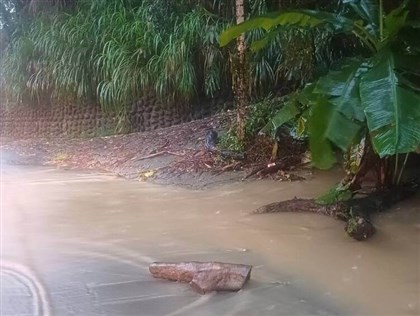 台中強降雨多處積水　路樹圍牆倒塌、泥水淹路面[影]
