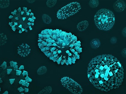 南韓列立百病毒為一級傳染病  羅一鈞：若疫情有變不排除跟進