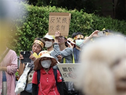 動保人士憂禁餵流浪犬猫入法　農業部：需研議凝共識