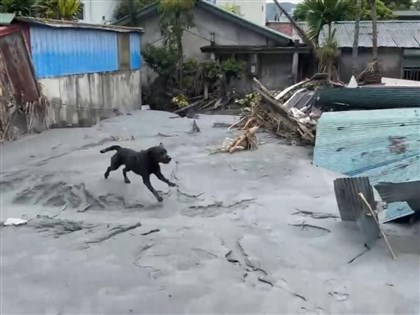 高雄特搜隊支援花蓮  搜救犬咪娜勇敢救災[影]