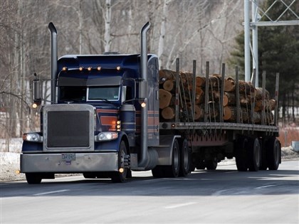 美國將對進口木材徵收關稅　10月14日上路