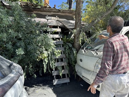 屋主採龍眼不經意留木梯　花蓮洪災成20人救命梯【獨家】