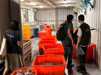 重懲黑心豬腸　石崇良：屏東百威公司罰金將逾5000萬元