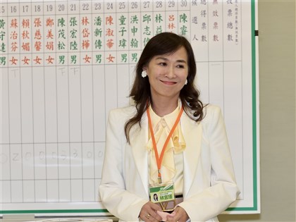 林宜瑾涉詐助理費遭起訴　繳回1412萬餘元盼減刑