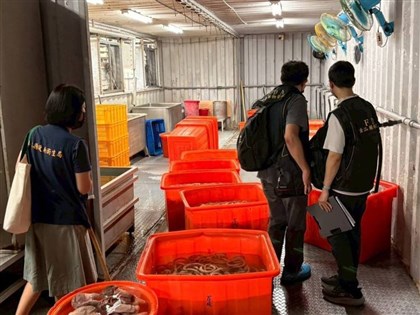 黑心豬腸燒出2盲點　食安辦允強化「食安五環」