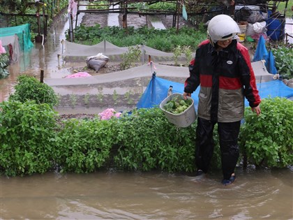 北北基桃21日是否停班課　晚間8時宣布