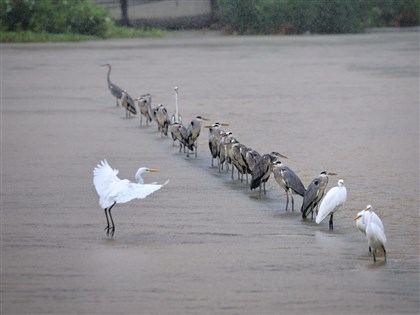 北北宜續防豪雨　22日低壓南移宜花交界愈晚雨勢愈強