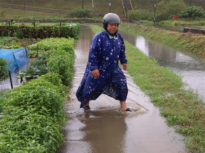 東北季風颱風外圍環流  留意豪大雨強陣風大浪