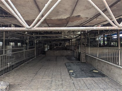 防非洲豬瘟  環境部啟動廚餘應變確保不進豬場